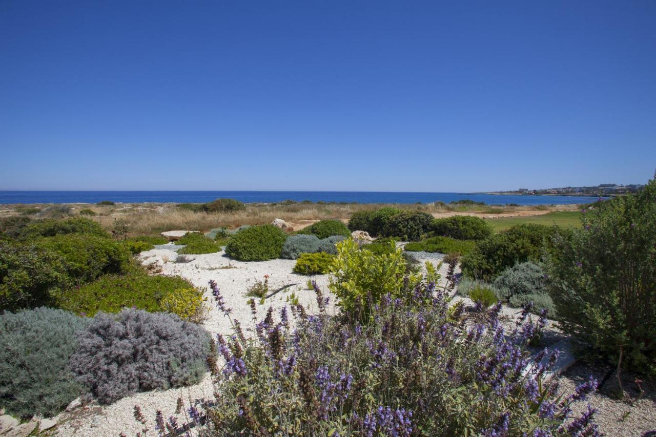 Protaras Seafront Villa Melissa 外观 照片